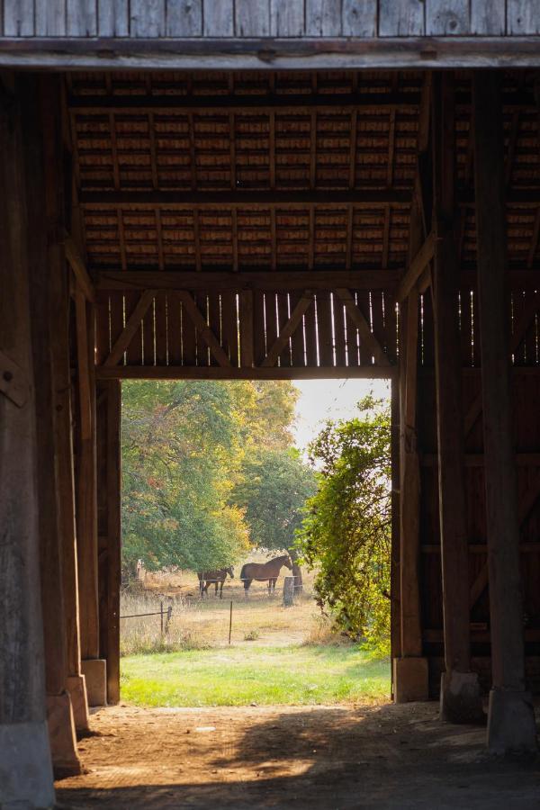 Chambre D'Hotes Fantesstique Berzieux Exterior foto